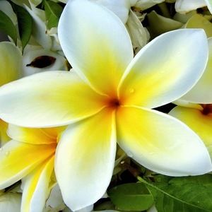 Meet your Posher, Bianca